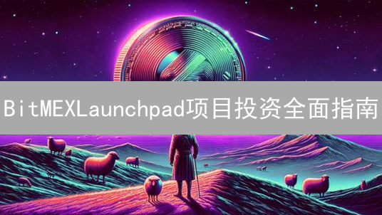 BitMEXLaunchpad项目投资全面指南：流程与注意事项