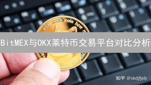 BitMEX与OKX莱特币交易平台对比分析：产品、费用与杠杆