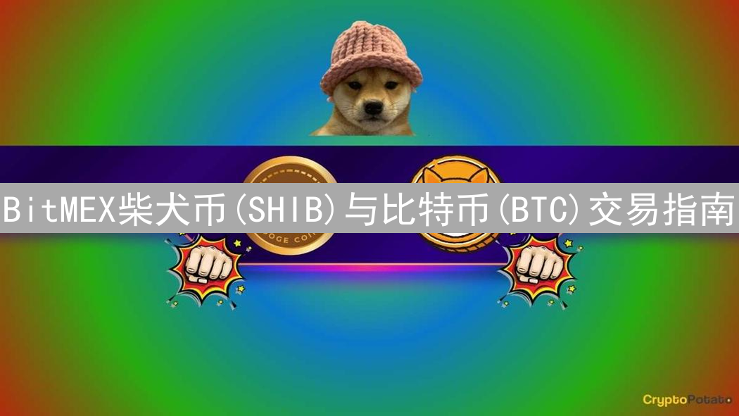 BitMEX柴犬币(SHIB)与比特币(BTC)交易指南
