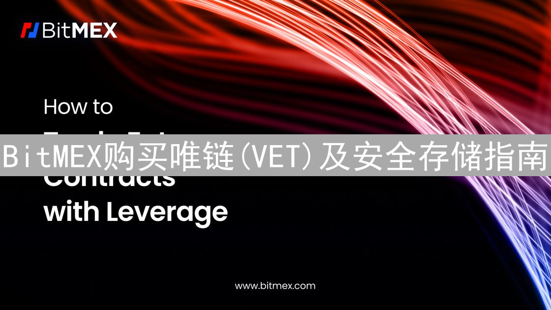 BitMEX购买唯链(VET)及安全存储指南：详细步骤详解
