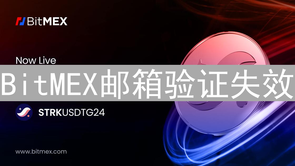 BitMEX邮箱验证失效：数字迷宫解谜与账户安全指南