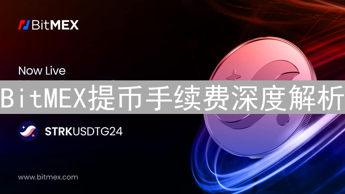 BitMEX提币手续费深度解析：优化策略与替代方案