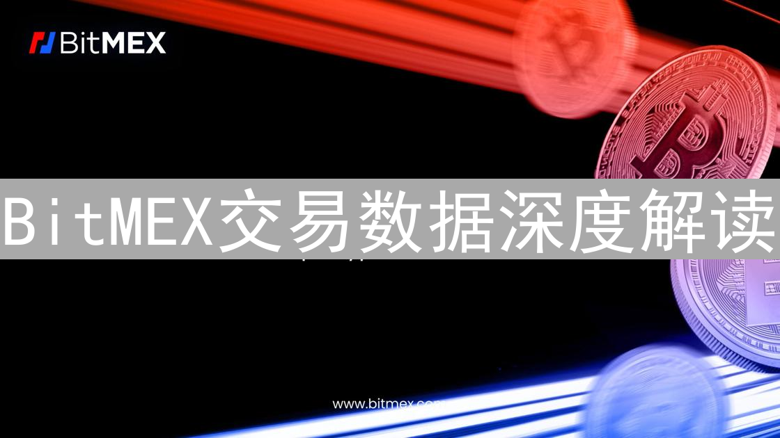 BitMEX交易数据深度解读：策略、风险与量化分析