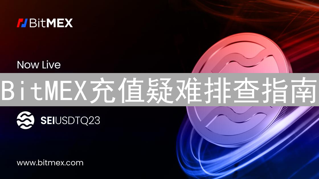 BitMEX充值疑难排查指南：新手入门到精通教程