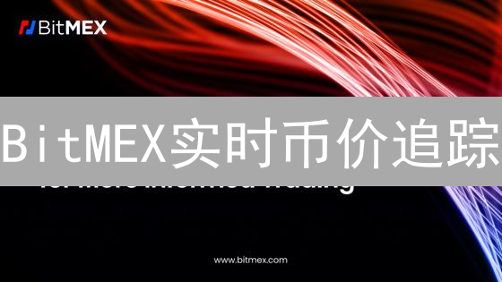 BitMEX实时币价追踪：交易指南与技巧