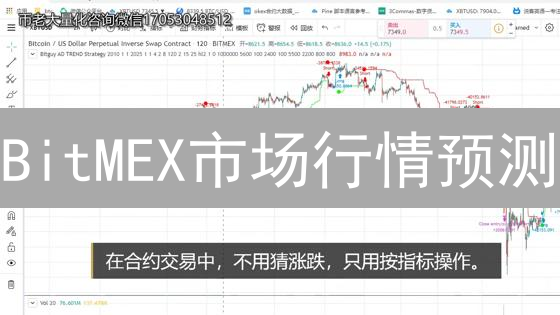 BitMEX市场行情预测：技术与基本面分析助力交易决策