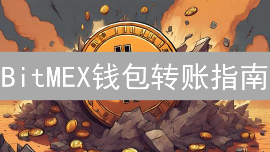 BitMEX钱包转账指南：安全须知与操作详解