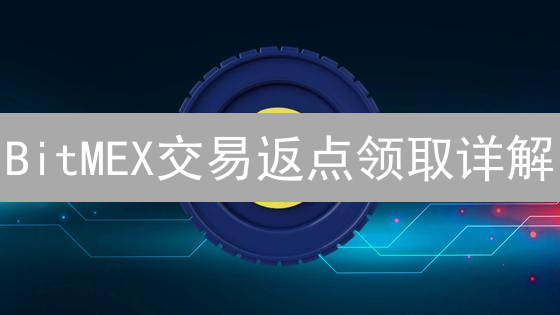 BitMEX交易返点领取详解：最大化收益指南
