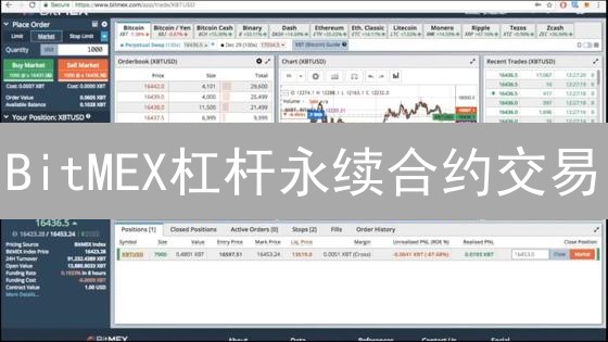 BitMEX杠杆永续合约交易：策略与风险管理