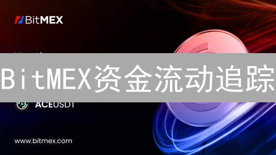 BitMEX资金流动追踪：深度解析与交易策略优化