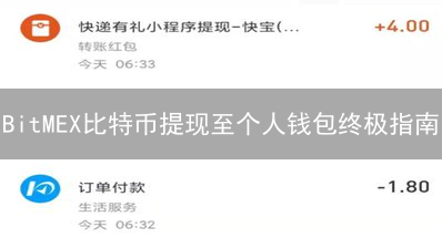 BitMEX比特币提现至个人钱包终极指南
