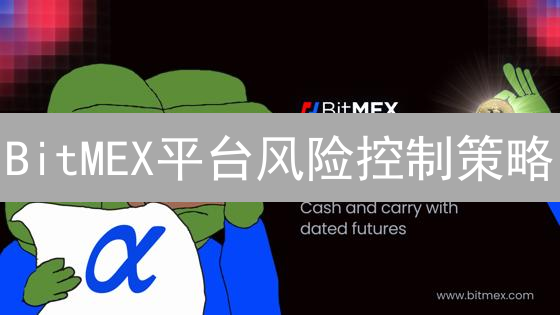 BitMEX平台风险控制策略：强平、限制与指数价格