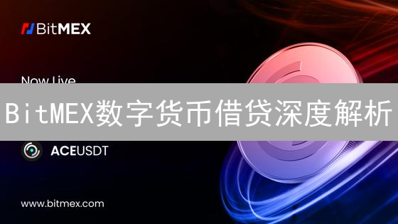 BitMEX数字货币借贷深度解析：杠杆、风险与市场影响