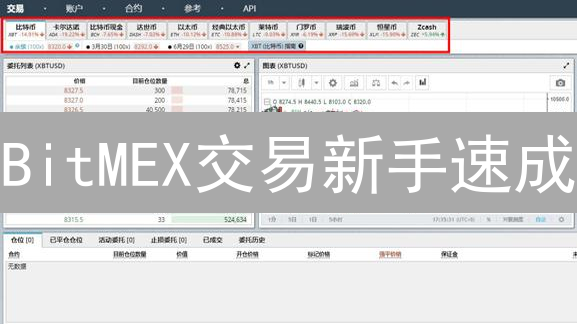 BitMEX交易新手速成：注册、开户与杠杆技巧全攻略