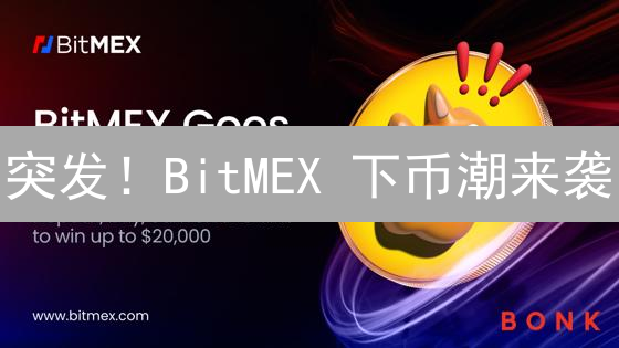 突发！BitMEX 下币潮来袭：原因揭秘与影响分析！