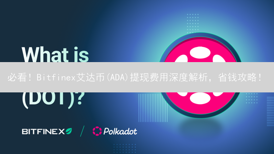 必看！Bitfinex艾达币(ADA)提现费用深度解析，省钱攻略！