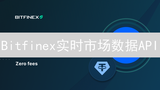 Bitfinex实时市场数据API：探索数据流与量化交易奥秘