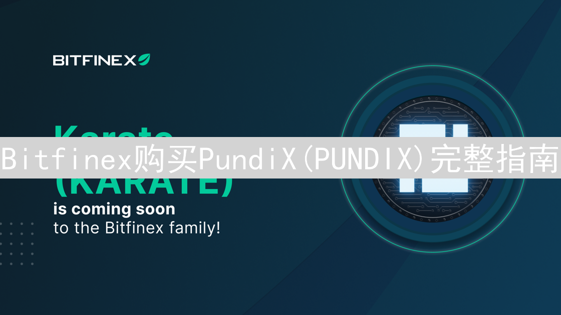 Bitfinex购买PundiX(PUNDIX)完整指南：新手入门教程