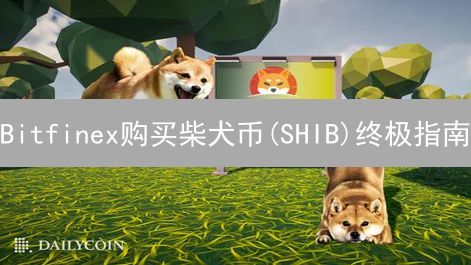 Bitfinex购买柴犬币(SHIB)终极指南：5步搞定，新手也能轻松上手？