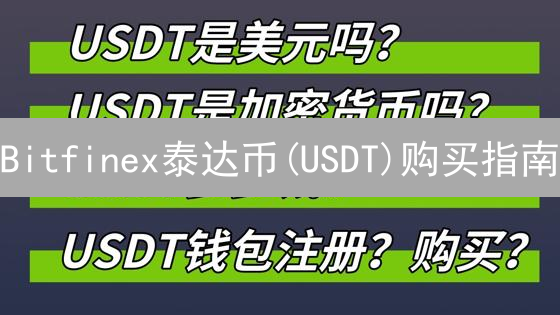 Bitfinex泰达币(USDT)购买指南：新手入门教程详解
