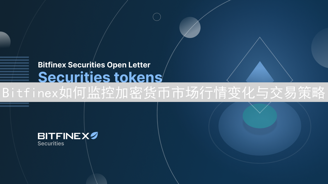 Bitfinex如何监控加密货币市场行情变化与交易策略