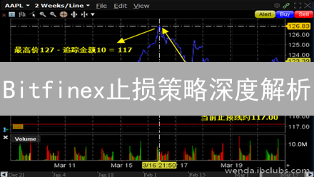 Bitfinex止损策略深度解析：驾驭加密货币市场风浪