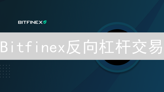 Bitfinex反向杠杆交易：币种、机制与风险解析