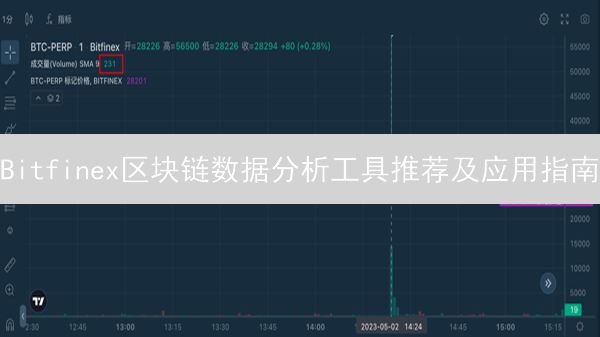 Bitfinex区块链数据分析工具推荐及应用指南