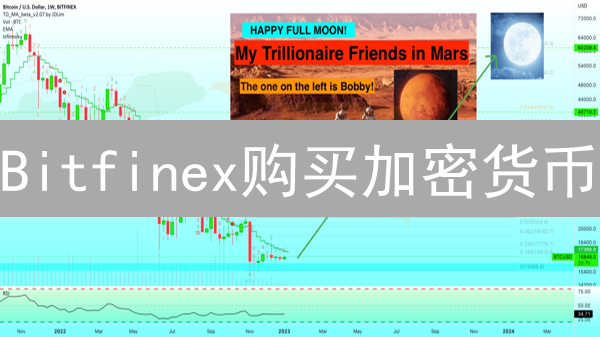 Bitfinex购买加密货币：新手必读的安全与交易指南