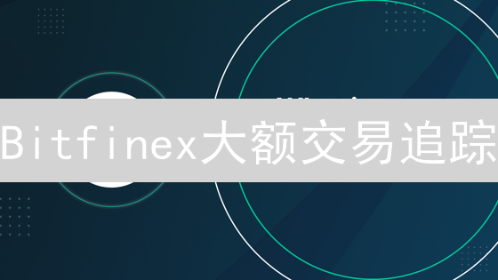 Bitfinex大额交易追踪：市场脉搏洞察与进阶指南