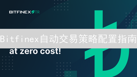Bitfinex自动交易策略配置指南：释放交易潜能