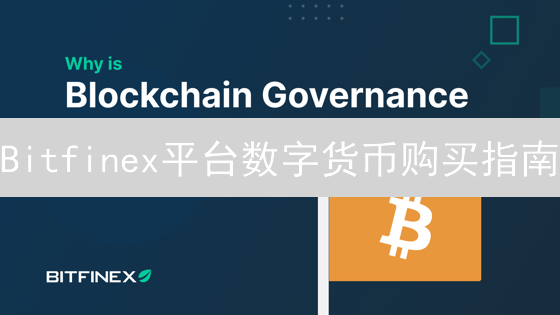 Bitfinex平台数字货币购买指南：新手入门教程