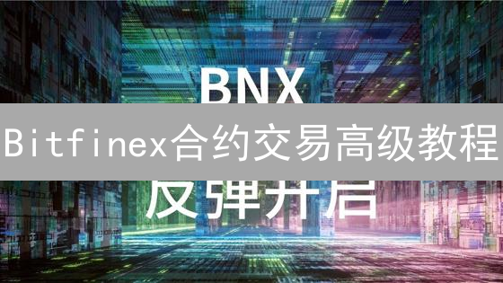 Bitfinex合约交易高级教程：驾驭杠杆，掌控风险