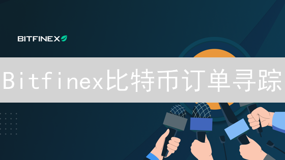 Bitfinex比特币订单寻踪：数字迷藏之旅