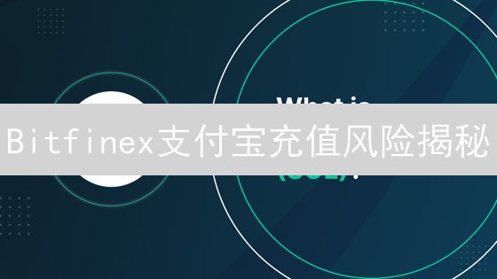 Bitfinex支付宝充值风险揭秘：合规挑战与安全警示！