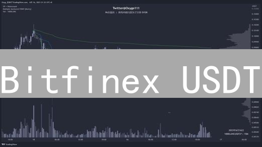 Bitfinex USDT/BTC交易对深度分析：为何如此重要？未来走向？