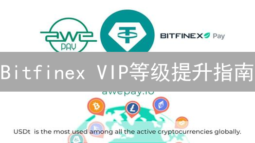 Bitfinex VIP等级提升指南：策略、技巧与注意事项
