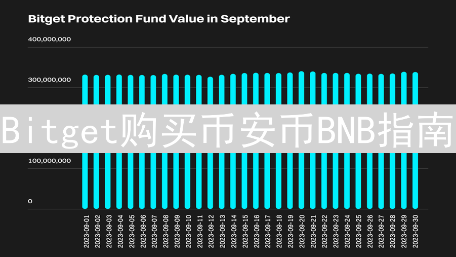 Bitget购买币安币BNB指南：策略、考量与技巧