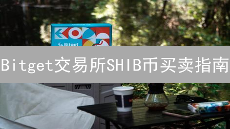 Bitget交易所SHIB币买卖指南：新手快速上手教程