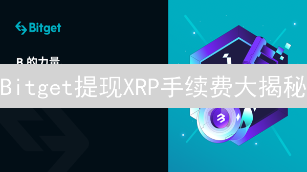 Bitget提现XRP手续费大揭秘：如何省钱？内幕曝光！