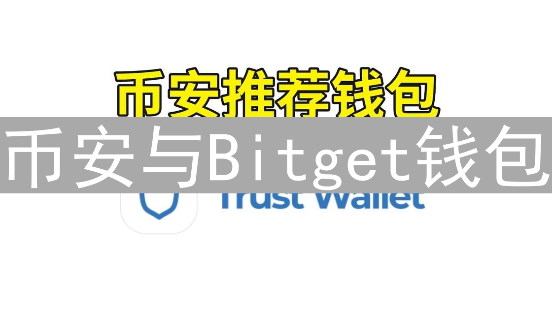 币安与Bitget钱包：多元币种支持的深度对比分析