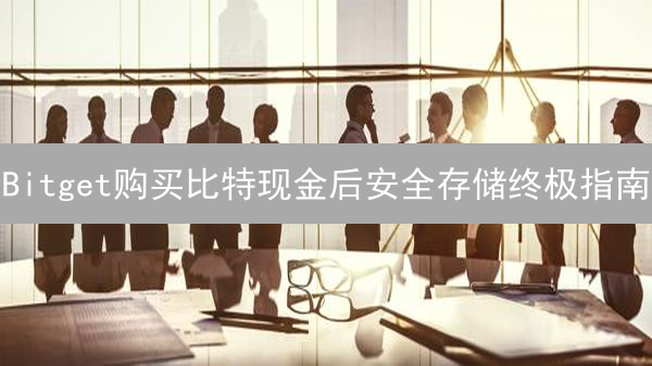Bitget购买比特现金后安全存储终极指南