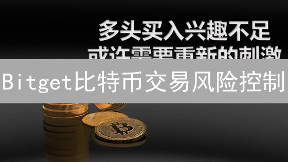 Bitget比特币交易风险控制：策略与工具解析