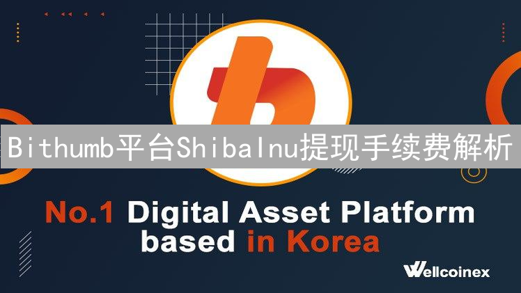 Bithumb平台ShibaInu提现手续费解析