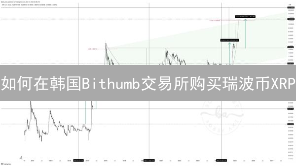 如何在韩国Bithumb交易所购买瑞波币XRP？新手指南！