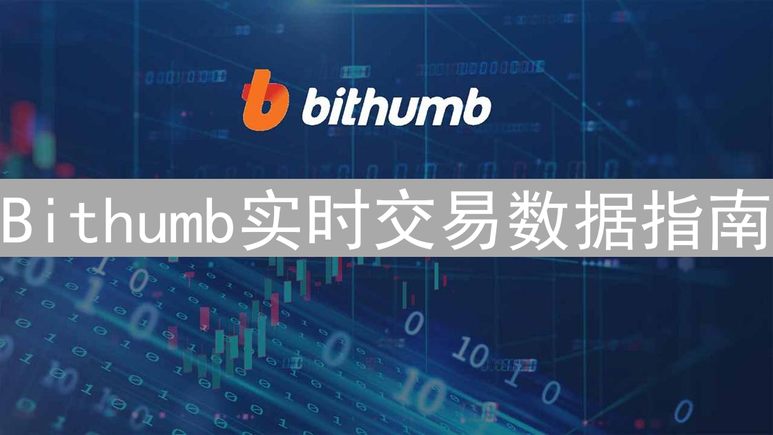 Bithumb实时交易数据指南：行情尽在掌握
