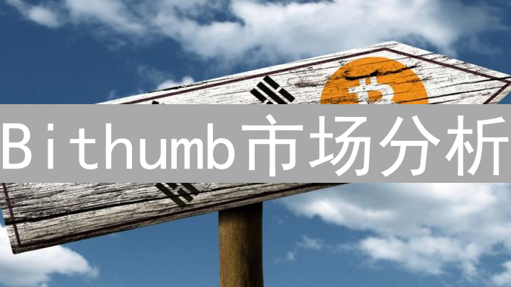Bithumb市场分析：成交量与价格波动的深度解读
