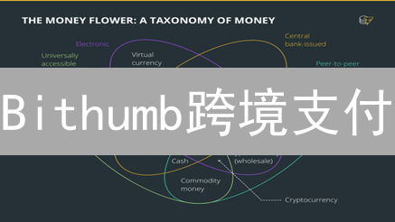 Bithumb跨境支付：金融革命的猜想与挑战