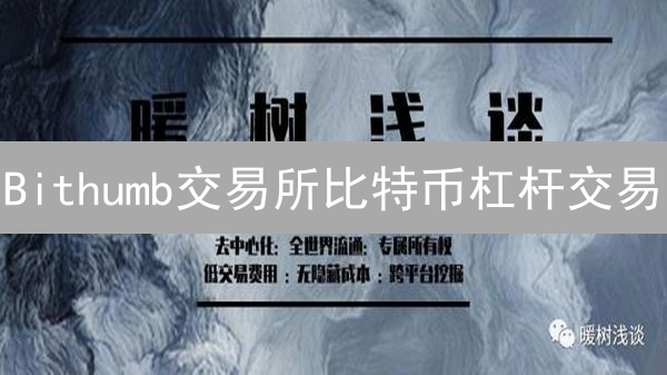 Bithumb交易所比特币杠杆交易：可能性与局限性分析