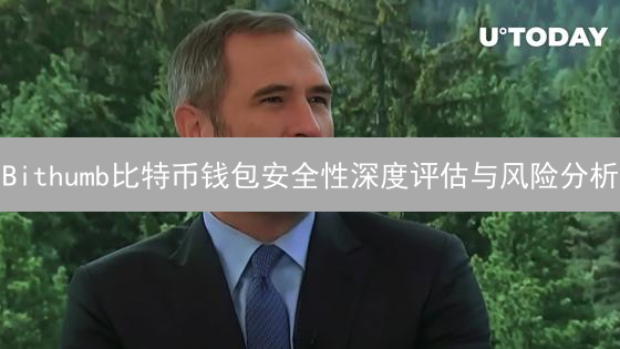 Bithumb比特币钱包安全性深度评估与风险分析